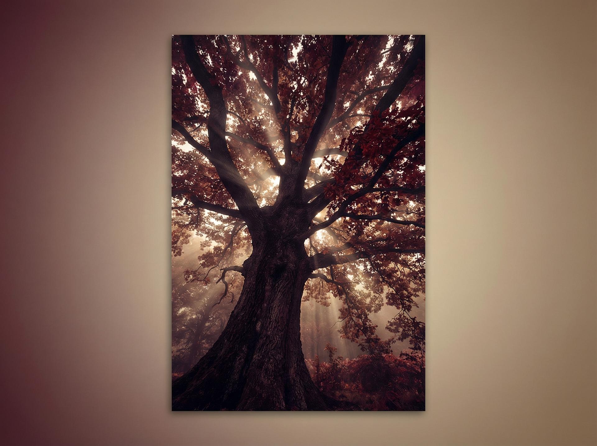 暗网 AI植物视频推荐